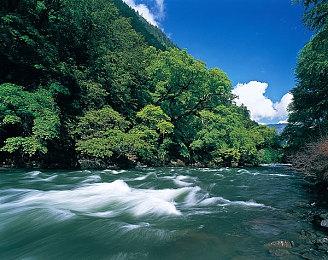 索尼宣布PS5无障碍手柄12月6日发售 售价90美元